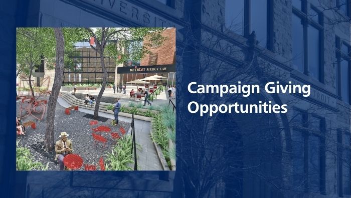 Campaign Giving Opportunities